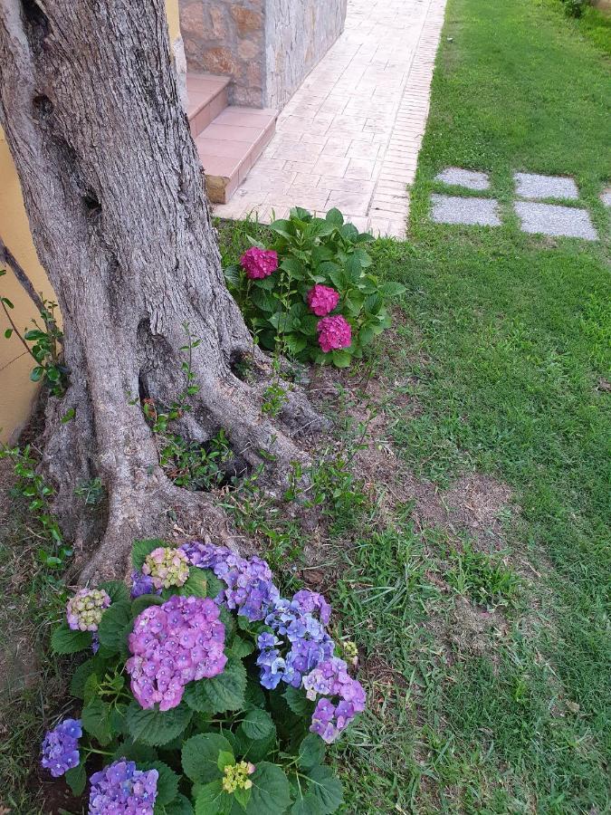 Laura Casa Vacanze Капо-Ватикано Екстер'єр фото